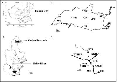 Characterization of Microcystis (Cyanobacteria) Genotypes Based on the Internal Transcribed Spacer Region of rRNA by Next-Generation Sequencing